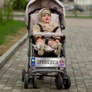 Сувенирный автономер "Принцесса" для детской коляски на металле золотого цвета. DNM 0608 фото