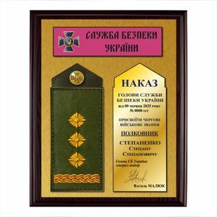 Награда 220х300мм на металле под золото с погоном на подложке   DNM1014 фото