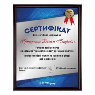 Сертификат из металла под серебро на подложке 220х300мм DNM4013 фото