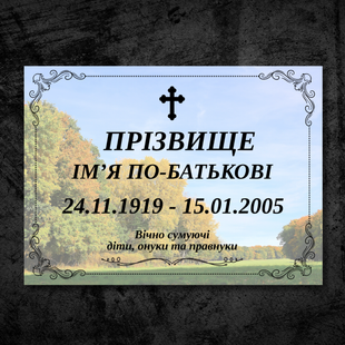 Ритуальная табличка 250х200мм на металле   DNM 1134 фото