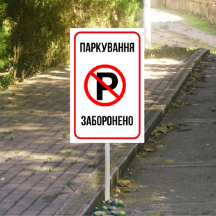 Табличка из металла"Парковка запрещена" 220х300 мм  DNM 1226 фото