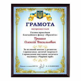 Грамота из белого металла цвета мультиколор на плакетке 150х200мм DNM 3041 фото