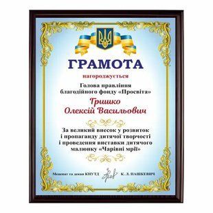 Грамота из белого металла цвета мультиколор на плакетке 200х250мм DNM 3042 фото