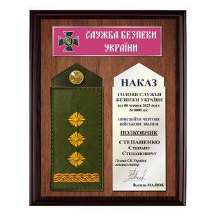 Награда 220х300мм на металле под дерево с погоном на подложке   DNM1034 фото