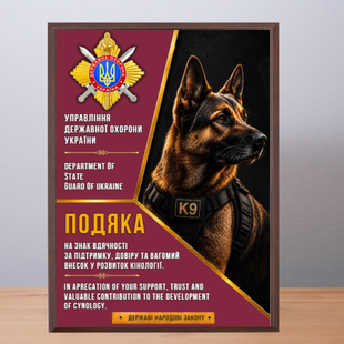 Подяка з металу на плакетці 220х300мм DNM2004 фото