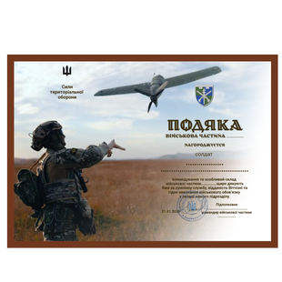 Благодарность из металла под золото на подложке 220х300мм DNM2005 фото