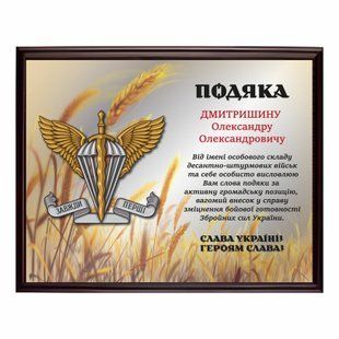 Благодарность из металла под серебро на подложке 220х300мм DNM2014 фото