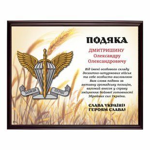 Благодарность из белого металла на подложке 290х380мм DNM2025 фото