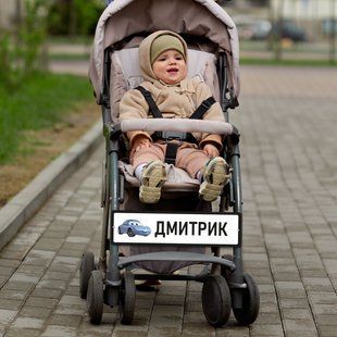 Сувенирный автономер "Дмитрик" для детской коляски на металле. DNM 0614 фото